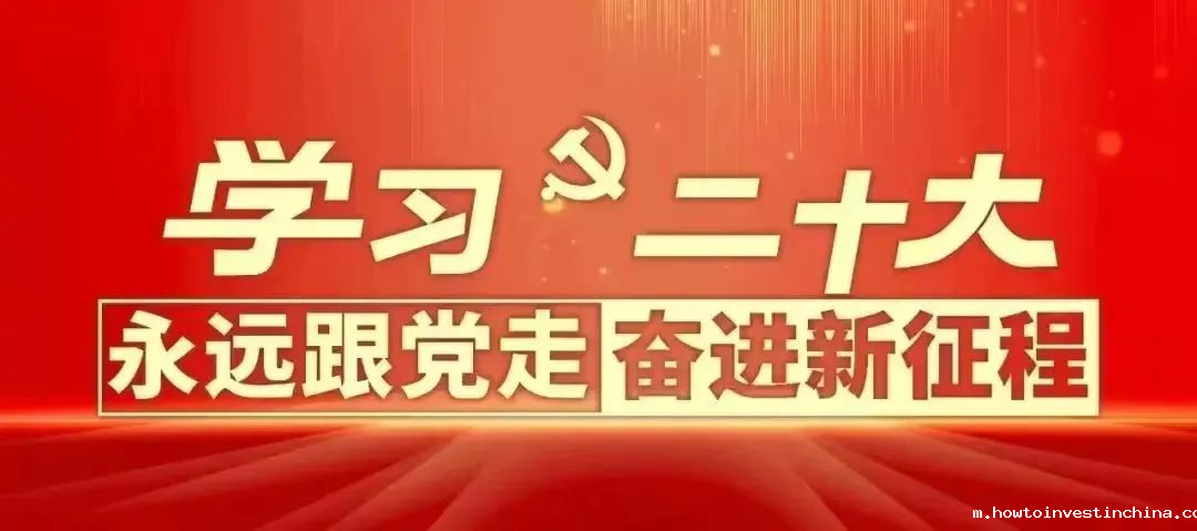 【福建省学联】点点官方app下载团委扎实开展学习宣传贯彻党的二十大精神主题教育